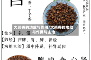 大茴香的功效与作用/大茴香的功效与作用与主治