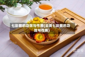 七彩菊的功效与作用(云南七彩菊的功效与作用)