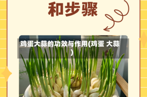 鸡蛋大蒜的功效与作用(鸡蛋 大蒜)