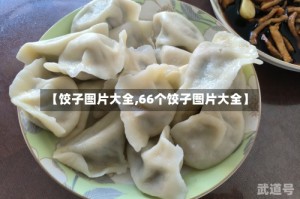 【饺子图片大全,66个饺子图片大全】
