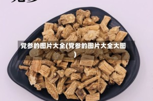 党参的图片大全(党参的图片大全大图)