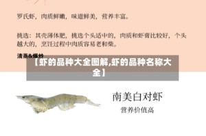 【虾的品种大全图解,虾的品种名称大全】