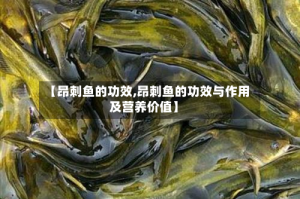 【昂刺鱼的功效,昂刺鱼的功效与作用及营养价值】