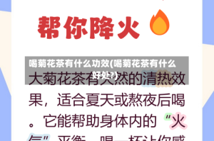 喝菊花茶有什么功效(喝菊花茶有什么好处?)