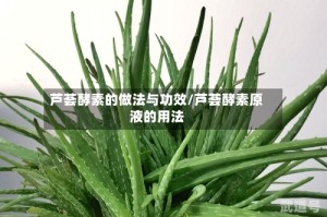芦荟酵素的做法与功效/芦荟酵素原液的用法