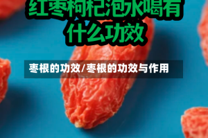 枣根的功效/枣根的功效与作用