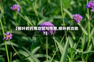 【柳叶的药用功效与作用,柳叶的功效?】