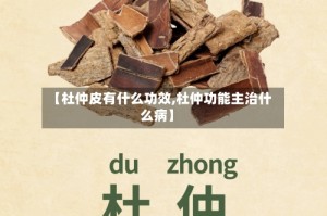 【杜仲皮有什么功效,杜仲功能主治什么病】