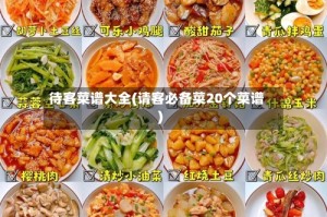 待客菜谱大全(请客必备菜20个菜谱)