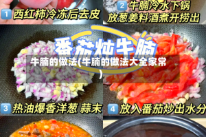 牛腩的做法(牛腩的做法大全家常)