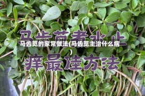 马齿苋的家常做法(马齿苋主治什么病)