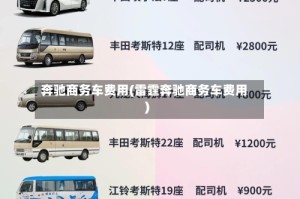 奔驰商务车费用(雷霆奔驰商务车费用)