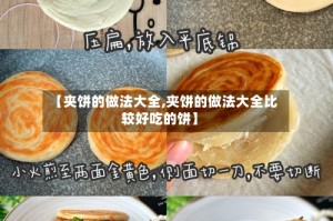【夹饼的做法大全,夹饼的做法大全比较好吃的饼】