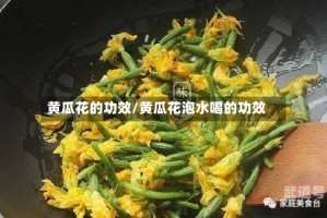 黄瓜花的功效/黄瓜花泡水喝的功效
