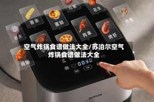 空气炸锅食谱做法大全/苏泊尔空气炸锅食谱做法大全