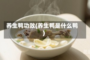 养生鸭功效(养生鸭是什么鸭)