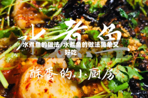 水煮鱼的做法/水煮鱼的做法简单又好吃