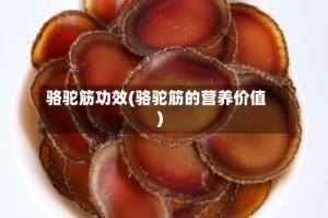 骆驼筋功效(骆驼筋的营养价值)