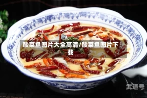酸菜鱼图片大全高清/酸菜鱼图片下载