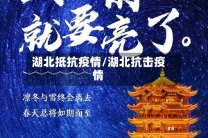 湖北抵抗疫情/湖北抗击疫情