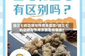 田三七的功效与作用及禁忌/田三七的功效与作用及禁忌有哪些?