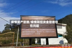 疫情资产管理/疫情防控资金管理存在问题