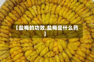 【盐梅的功效,盐梅是什么药】
