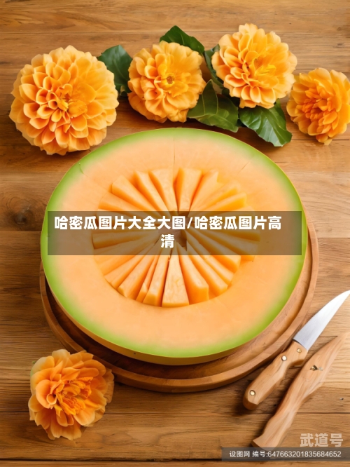 哈密瓜图片大全大图/哈密瓜图片高清-第3张图片