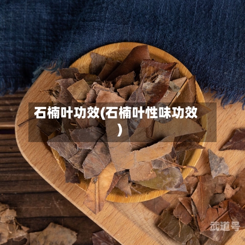 石楠叶功效(石楠叶性味功效)-第3张图片