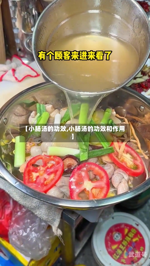 【小肠汤的功效,小肠汤的功效和作用】-第2张图片