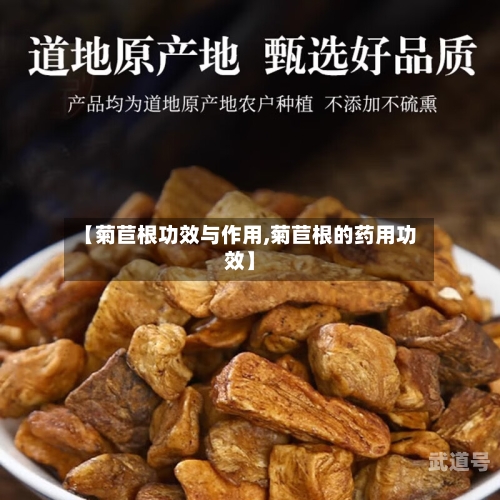 【菊苣根功效与作用,菊苣根的药用功效】-第3张图片