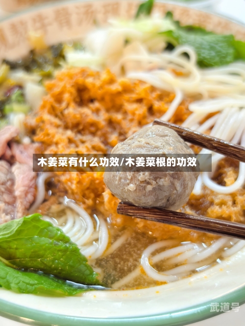 木姜菜有什么功效/木姜菜根的功效-第1张图片