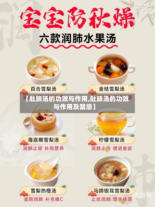 【肚肺汤的功效与作用,肚肺汤的功效与作用及禁忌】-第3张图片