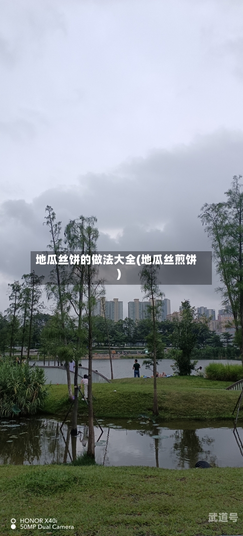 地瓜丝饼的做法大全(地瓜丝煎饼)-第3张图片