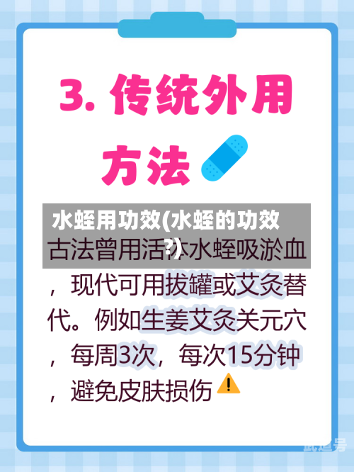 水蛭用功效(水蛭的功效?)-第2张图片
