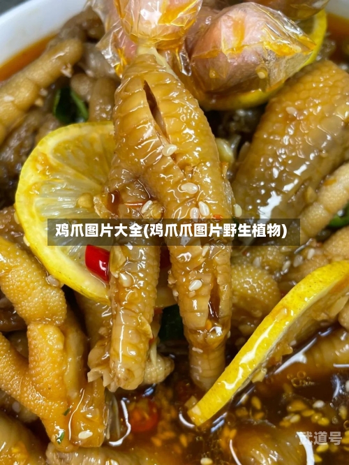 鸡爪图片大全(鸡爪爪图片野生植物)-第3张图片