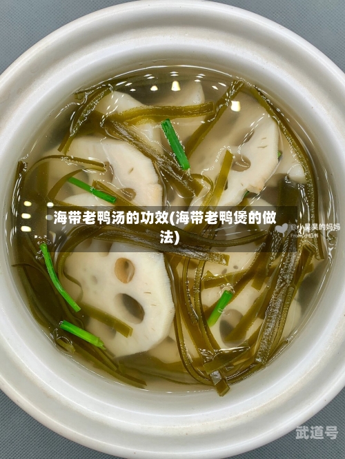 海带老鸭汤的功效(海带老鸭煲的做法)-第2张图片
