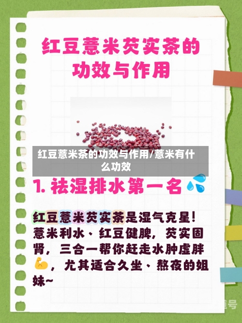 红豆薏米茶的功效与作用/薏米有什么功效-第3张图片