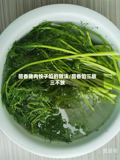 茴香猪肉饺子馅的做法/茴香馅三放三不放-第1张图片