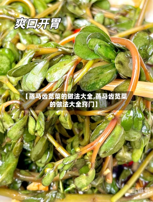 【蒸马齿苋菜的做法大全,蒸马齿苋菜的做法大全窍门】-第3张图片