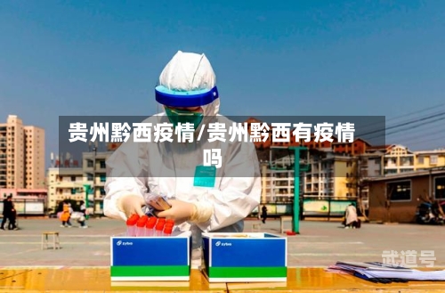 贵州黔西疫情/贵州黔西有疫情吗-第3张图片