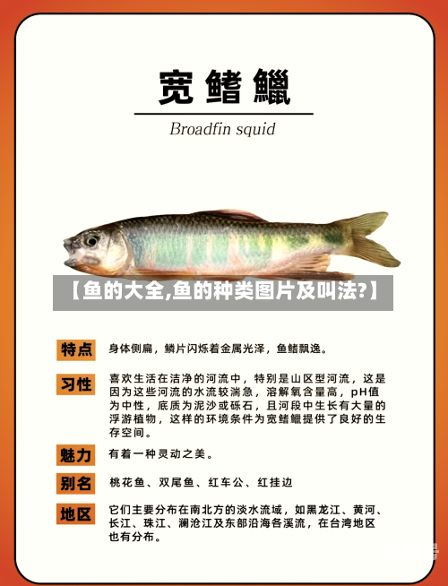 【鱼的大全,鱼的种类图片及叫法?】-第3张图片