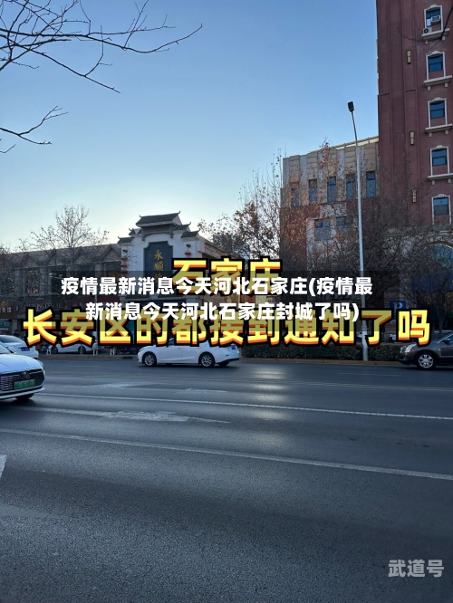 疫情最新消息今天河北石家庄(疫情最新消息今天河北石家庄封城了吗)-第3张图片