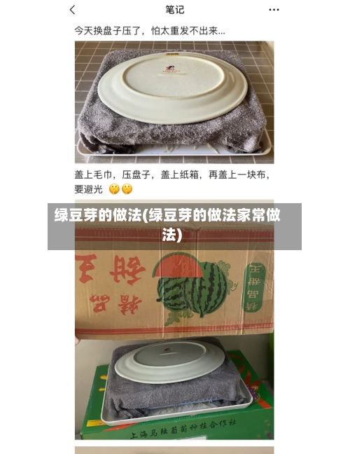 绿豆芽的做法(绿豆芽的做法家常做法)-第1张图片