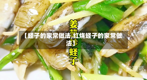 【蛏子的家常做法,红烧蛏子的家常做法】-第3张图片