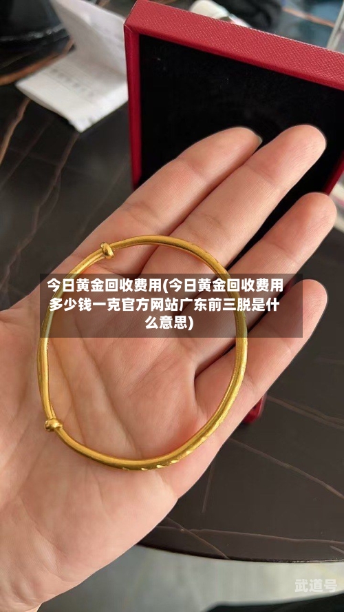 今日黄金回收费用(今日黄金回收费用多少钱一克官方网站广东前三脱是什么意思)-第1张图片