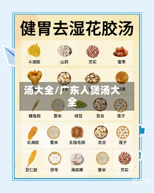 汤大全/广东人煲汤大全-第3张图片