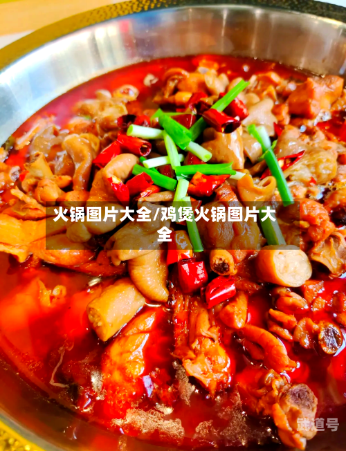 火锅图片大全/鸡煲火锅图片大全-第1张图片