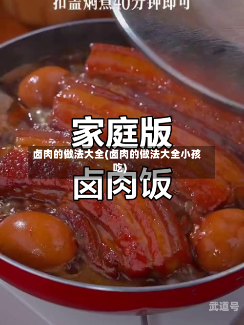 卤肉的做法大全(卤肉的做法大全小孩吃)-第1张图片