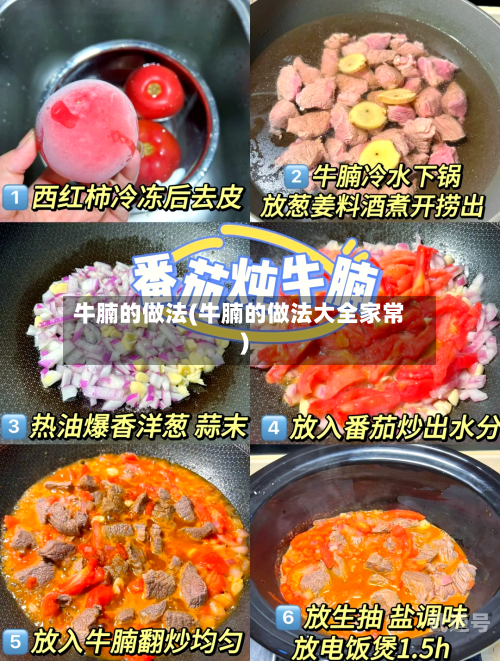 牛腩的做法(牛腩的做法大全家常)-第3张图片